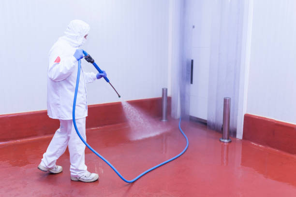 Professional Pressure Washing Services in Fort Meade, FL